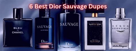 h and m dior dupe|dior dupes for men.